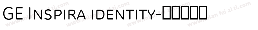 GE Inspira identity字体转换